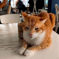  at Katers Köök in Hamburg