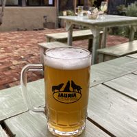   at Jauría in San Alfonso