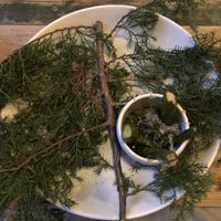   at Høst in Copenhagen