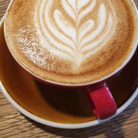 Cappuccino with oat milk at Esencia in Harstad