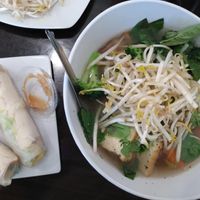 pho and fresh rolls at Veggie Garden in Orlando