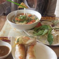 Vegan pho with Tofu and Spring rolls at Veggie Garden in Orlando