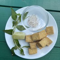 fried tofu appetizer   at Veggie Garden in Orlando