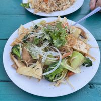 #25. Large portions, just lacking flavor or sauce   at Veggie Garden in Orlando