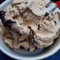 Coffee chocolate chip is my favorite flavor! at Bruster's Real Ice Cream in Carlisle