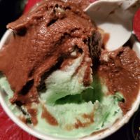 Chocolate and chocolate chip mint! #Veganuary at Bruster's Real Ice Cream in Carlisle