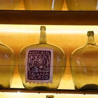   at Corazón de Maguey in Mexico City