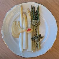 Asparagus 😍 at plant. in Luzern