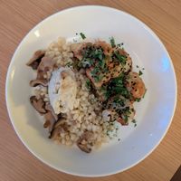 Peal couscous with fabulous marinated shiitake mushrooms at plant. in Luzern