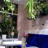  at Owca Cała in Poznan