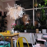  at Owca Cała in Poznan