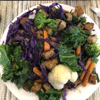 Stir fry veggies  at The Green Table in Palm Harbor