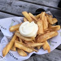 the best fries   at Oproer Brouwerij Biercafé in Utrecht