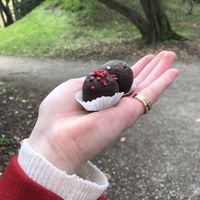 Himbeere und Haselnuss Bällchen   at LUSH Cafe in Munich