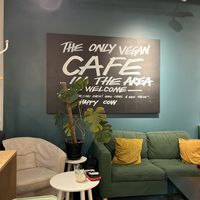   at LUSH Cafe in Munich