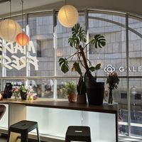 View and seating at LUSH Cafe in Munich
