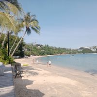  at The Flamingo in Phuket