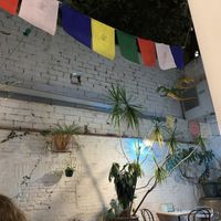 Patio interior  at La Ikas in Barcelona