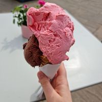 Chocolate and Raspberry ice cream cone at Ginger's Ice Cream Parlour in Howden