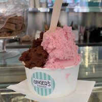 Dairy free/vegan chocolate ice cream and fruit sorbet at Ginger's Ice Cream Parlour in Howden
