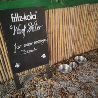 Dog bowls! at Stadtcafe in Freising