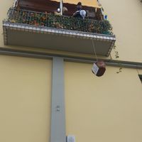  at Tripperia Vegana TAN8 - Flying Kiosk in Florence