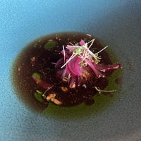 Mushroom purée, apple, onions, root vegetable broth with Japanese seaweed.  at Funken Lodge in Longyearbyen