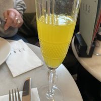 Mimosa  at TEDS - Jordaan in Amsterdam