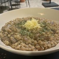 The Italian - A creamy mushroomy and truffley taste experience 😋😋😋😋  at Cajual Vegan Foodsters in Loule