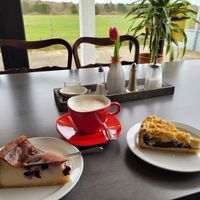 Käsekuchen mit Blaubeeren und Mohn-Mandarinen-Streuselkuchen at Cafe Restaurant Am Flugplatz in Wyk Auf Foehr