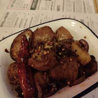  at The Coconut Tree in Birmingham