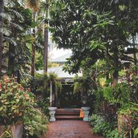  at Chanrey Tree in Siem Reap