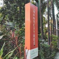  at Chanrey Tree in Siem Reap