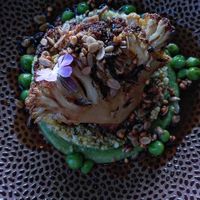 Vierter Gang Blumenkohl at Flow Yoga & Food in Delft