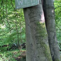 When you are facing West along the canal you'll see this one at Wild Cafe in Marsden