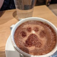  at Katzentempel - Leipzig Mitte in Leipzig