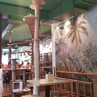 Interieur von ganz hinten at Katzentempel - Leipzig Mitte in Leipzig