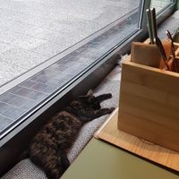 Alma :) at Katzentempel - Leipzig Mitte in Leipzig