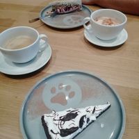 Pinguin Cake at Katzentempel - Leipzig Mitte in Leipzig