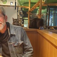 Verry social cats at Katzentempel - Leipzig Mitte in Leipzig