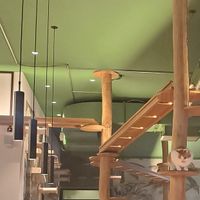 Cats paradise at Katzentempel - Leipzig Mitte in Leipzig