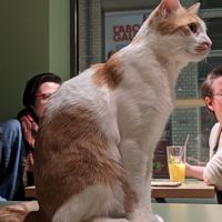  at Katzentempel - Leipzig Mitte in Leipzig