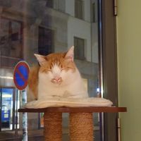 😍 at Katzentempel - Leipzig Mitte in Leipzig