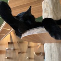   at Katzentempel - Leipzig Mitte in Leipzig