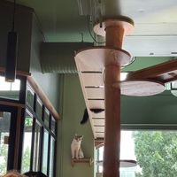   at Katzentempel - Leipzig Mitte in Leipzig