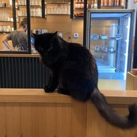   at Katzentempel - Leipzig Mitte in Leipzig