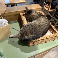   at Katzentempel - Leipzig Mitte in Leipzig