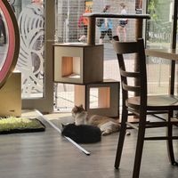   at Katzentempel - Leipzig Mitte in Leipzig