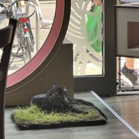   at Katzentempel - Leipzig Mitte in Leipzig