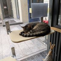  at Katzentempel - Leipzig Mitte in Leipzig